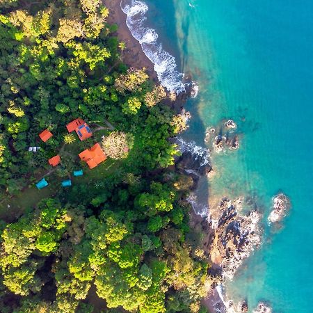 Las Caletas Lodge Drake Bay Bagian luar foto