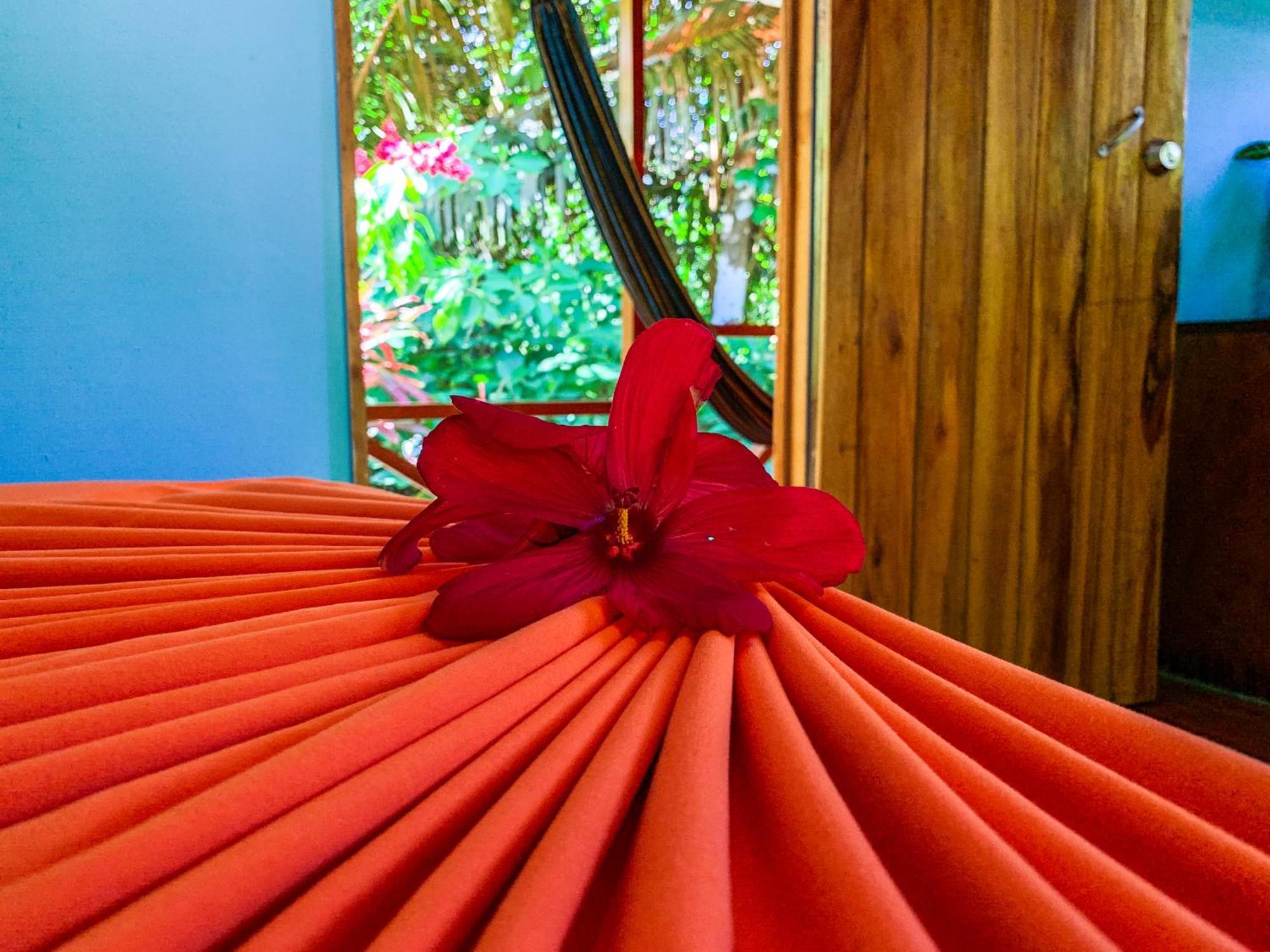 Las Caletas Lodge Drake Bay Ruang foto